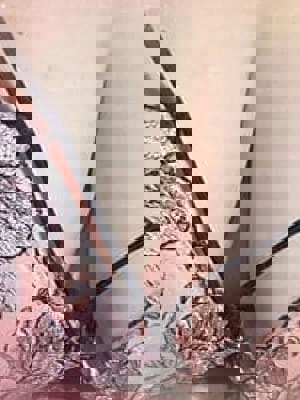 きりかプロフィール写真