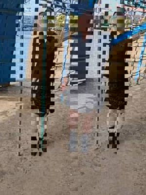 みほプロフィール写真