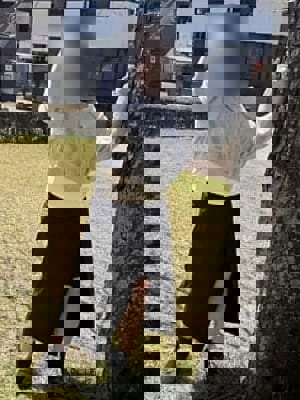 アップル倶楽部　しおん