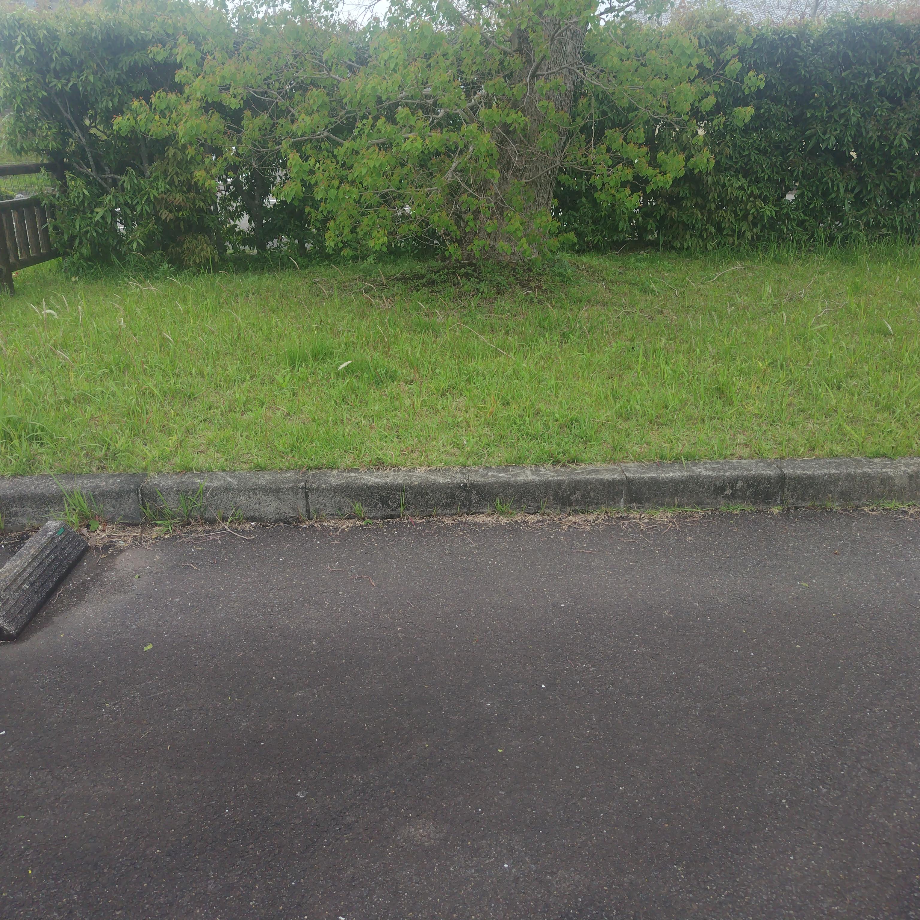 アップル倶楽部　店長