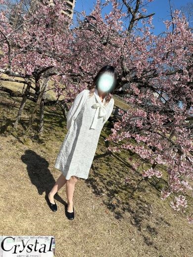 せいなさんプロフィール写真