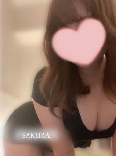サクラ(新人)プロフィール写真