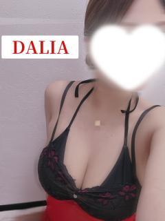 DALIA(ダリア)　店長