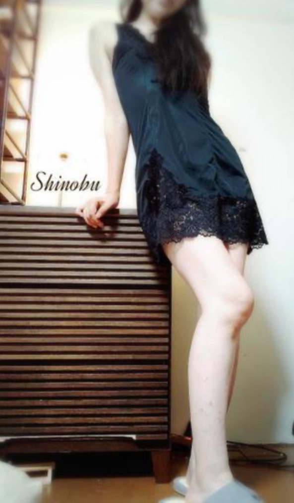 しのぶプロフィール写真