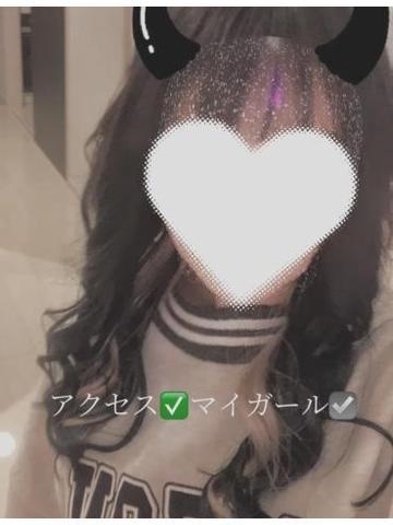 パインプロフィール写真